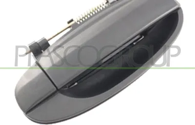 Produktbild von PRASCO DW3268101 Türgriff Hinten Rechts für DAEWOO KALOS (KLAS) Schwarz