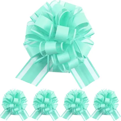 Produktbild von Geschenkschleifen 5 Stück, Türkis, Polypropylen, 165 cm