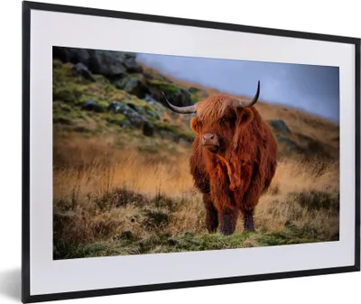 Produktbild von MuchoWow® Gerahmtes Poster Schottische Highlander - Gras - Steine 60x40 cm - Poster mit Schwarzem Bilderrahmen Wandposter Rahmen Foto Bilder - Schlafzimmer - Plakat in Rahmen - Drucken