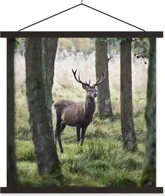 Produktbild von MuchoWow® Textilposter Hirsche - Bäume - Gras 60x60 cm mit schwarzem Rahmen - Posteraufhänger