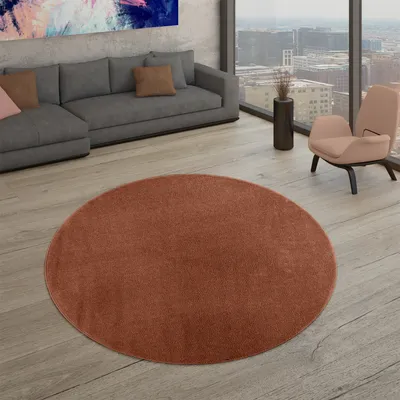 Produktbild von TT Home Wohnzimmer Teppich Kurzflor Unifarbendes Design Modern Und Zeitlos Größe 120 cm Rund