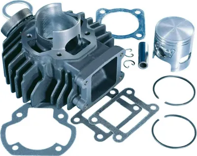 Immagine prodotto di Gruppo termico POLINI D.45 Chappy 50