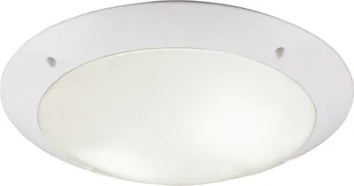 Productafbeelding van Plafonnière Camaro 33cm mat wit