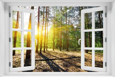 Produktbild von Wallario Poster mit Fenster-Illusion: Sonnenstrahlen tief hinter dem Wald, Größe: 61 x 91,5 cm (Maxiposter)
