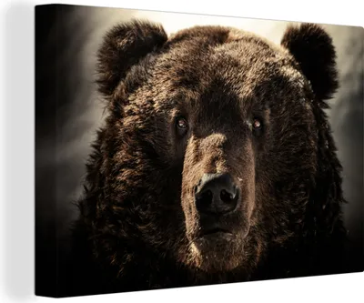 Produktbild von OneMillionCanvasses® - Leinwandbilder - 140x90 cm, Nahaufnahme Braunbär, Wandbilder Kunstdruck Wanddekoration