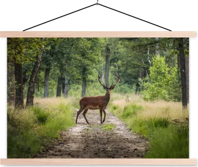 Produktbild von MuchoWow® Textilposter Wald - Hirsche - Bäume 60x40 cm mit holzfarbenen Rahmen - Bilder