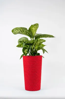 Produktbild von ADONI Handgefertigter Baumwoll-Blumentopf mit Einsatz (47 cm) – Dekorativer Übertopf für Zimmerpflanzen, Rot
