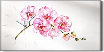 Produktbild von Wohnzimmer-Bild Leinwand Uhr Geräuschlos 60x30 Gemälde Blumen Zweig Kunst - weiße Hände