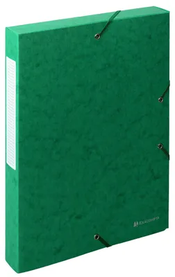 Productafbeelding van Exacompta, 10 stuks, archiveringsbox Exabox, rugbreedte 40 mm, formaat A4, groen, artikelnummer 50813E