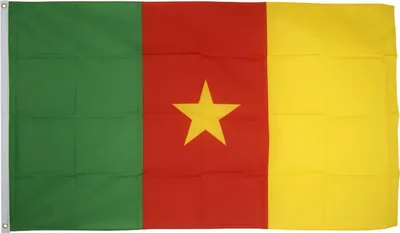Zdjęcie produktu dla Go Go Gadget – Flaga – 90 x 150 cm – Kamerun
