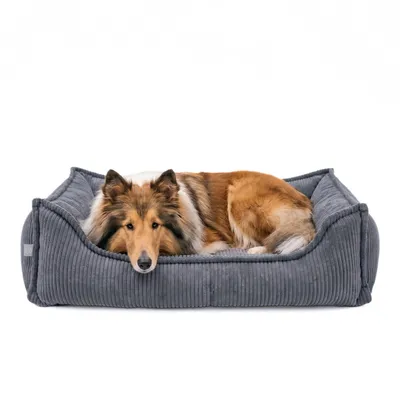 Produktbild von 4L Textil HUGO Orthopädisches Hundebett aus Cord mit Visco-Schaumstoff, abnehmbarer Bezug, für mittelgroße Hunde, 100x80 cm, Dunkelgrau