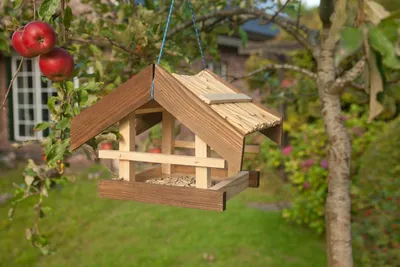 Produktbild von Vogelfutterhaus aus lasiertem Kiefernholz für Gartenvögel 30x24x22 cm