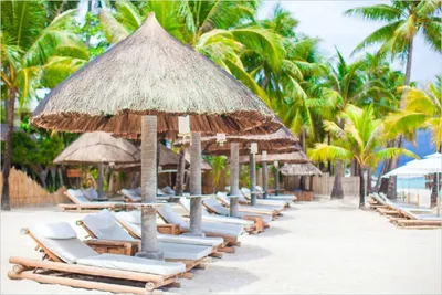 Produktbild von Wallario Poster - Weißer Sandstrand mit Liegen, Kunstdruck Größe: 61 x 91,50 cm