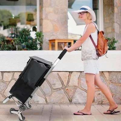 Image de Chariot de courses pliable de 56 litres avec compartiment réfrigéré