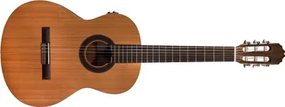 Immagine prodotto di Prodipe Guitars STUDENT + EQ