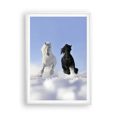 Produktbild von Gerahmtes Poster - Weißer Rahmen - Tiere Schönheit Wettbewerb - 70x100 cm - Wand Bild - Wanddeko - Wandbilder - Wandposter - Bilderrahmen - Bilder - Kunstdruck - Wandbild - P2WPA70x100-2179