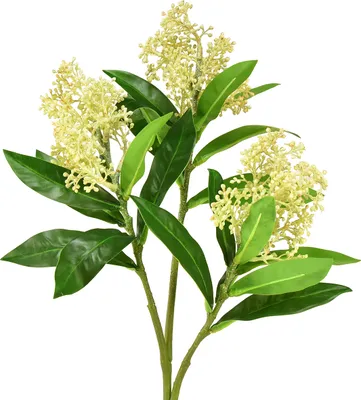 Produktbild von Künstliche Blumen Creme Skimmia japonica Skimmie 45cm 2St Deko Pflanze als elegante Tischdeko, 2 Stück