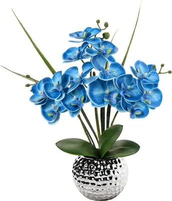 Obrázok produktu pre Umelý kvet Orchidea Blue Phalaenopsis 49 cm keramický hrniec