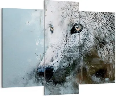Produktbild von Bild auf Leinwand - Leinwandbild - 3 Teile - Weiß Der Wolf Bild - 130x100cm - Wand Bild - Wanddeko - Wandbilder - Leinwanddruck - Bilder - Wanddekoration - Leinwand bilder - Wandbild - CB130x100-4623