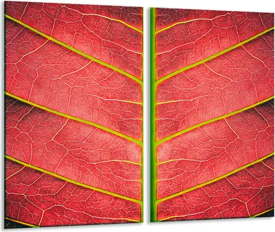 Produktbild von Herdabdeckplatten 2 teilig 30x52 Glaskeramikfeld Abdeckung Glas Blatt