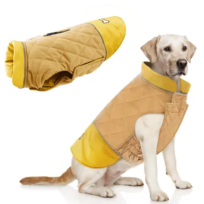 Winddichte Hundejacke Winter, warm, mit Geschirrloch, Blau