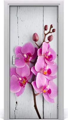 Produktbild von Tulup Türaufkleber 95x205 cm Dekorative Aufkleber Selbstklebend Wasserdichte Tapete Abnehmbar Schlafzimmer Wohnzimmer Wohnkultur - Wandtattoo rosa Orchidee