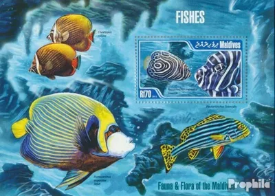 Produktbild von Briefmarken Malediven 2013 Mi Block 647 (kompl. Ausg.) postfrisch Fische