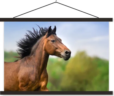 Produktbild von MuchoWow® Textilposter Pferd - Tier - Mähne - Braun 150x100 cm mit schwarzem Rahmen - Schlafzimmer