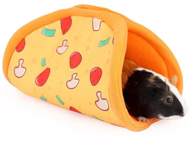 Imagen del producto de Túnel para pequeños animales, forma de taco, diseño de pizza, material 100% seguro, ideal para cobayas