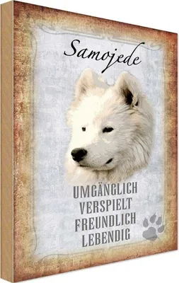 Produktbild von vianmo Holzschild 18x12 cm Samojede Hund Tier Haustier