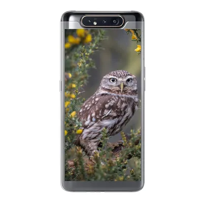 Produktbild von MuchoWow® Handyhülle Schutzhülle Hülle für Samsung Galaxy A80 Eine kleine braune Eule sitzt da und starrt nach vorne Silikon Softcase Handy Hülle - Schutzdeckel