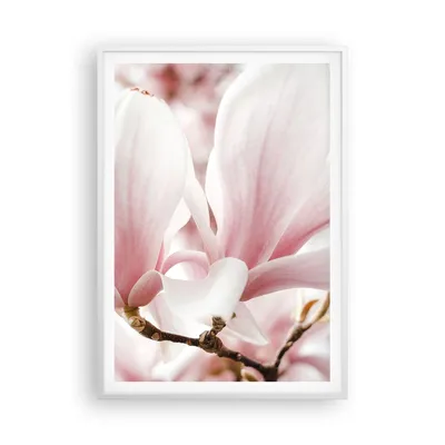 Produktbild von Gerahmtes Poster - Weißer Rahmen - Zweig Magnolie Blume - 70x100 cm - Wand Bild - Wanddeko - Wandbilder - Kunstposter - Wandposter - Bilderrahmen - Bilder - Kunstdruck - P2WPA70x100-4538