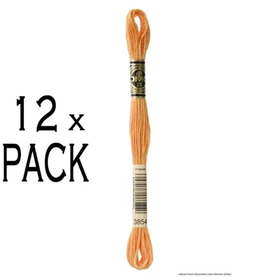 Productafbeelding van 12 bollen DMC Stickgarn Mouline Special 117MC -3854, 6-draads, 8 meter, verpakkingseenheid