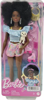 Zdjęcie produktu dla Mattel HPL77 Lalka Barbie z wrotkami w stylu afro, różowym modnym strojem i zestawem dla dzieci z psem