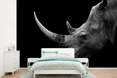 Produktbild von MuchoWow® Fototapete für Wohnzimmer oder Schlafzimmer Wandtapete Vinyl Motivtapete Nashorn - Tiere - Schwarz - Weiß - Porträt - 525x350 cm - Das Hintergrundbild