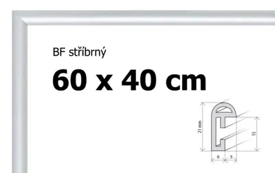 Immagine prodotto di BFHM Cornice per puzzle in plastica 60x40cm - argento