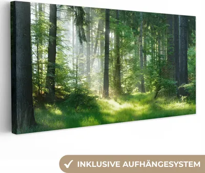 Produktbild von MuchoWow® - Leinwandbilder - Natur - Bäume - Wald - Grün - Sonne - Gras - Pflanzen, Wandbild, Wanddeko Bilder Wohnzimmer, 80x40 cm