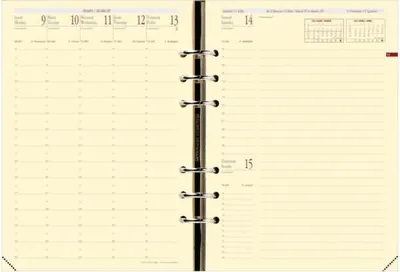 Immagine prodotto di Inserto timer 1 settimana/ 2 pagine verticali 14,2x21cm Francese 2025