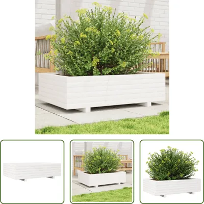 Immagine prodotto di The Living Store Fioriera bianca 90x60x26,5 cm in legno di pino massiccio
