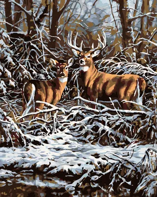 Produktbild von Zuty - Malen nach Zahlen - HIRSCH UND HINDIN IM GEBÜSCH, 40x50 cm, ohne Keilrahmen