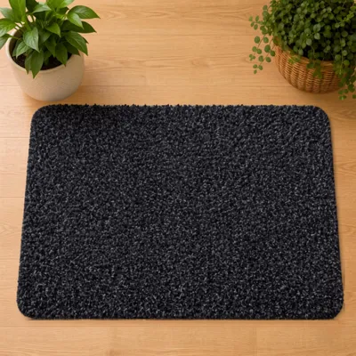 Produktbild von Schmutzfangmatte für innen schwarz in 40x60 cm, KI-generiertes Bild