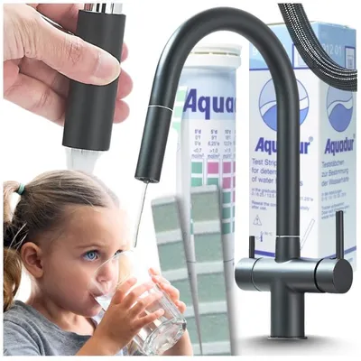 Produktbild von Ari Slender 3-Wege Küchenarmatur Schwarz Matt Mit Ausziehbrause, Filterwasser-Auslauf, 360° Drehbar, Messingkörper, 2 Hebel