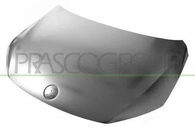 Produktbild von PRASCO VG0943100 Motorhaube für VW SCIROCCO (137, 138)