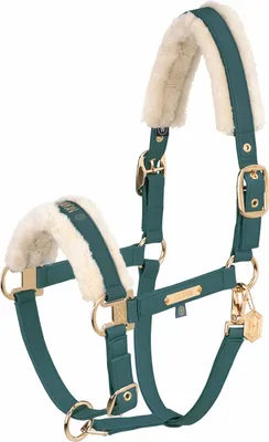 Produktbild von Eskadron HERITAGE Halfter " FAUX LEATHER DOUBLE PIN FF " Größe - Pony1 Farbe - vintage green