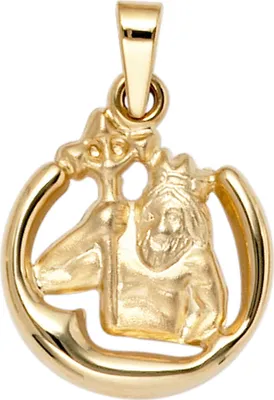 Produktbild von Anhänger Sternzeichen Wassermann 375 Gold Gelbgold teilmatt Horoskop
