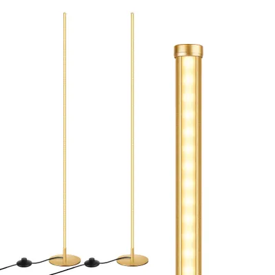 Produktbild von EDISHINE 2 Stück LED Stehlampe Dimmbar, 3000K warmweiße Stehleuchte mit Memory-Funktion, Gold,146 cm