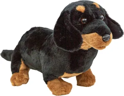 Produktbild von Kuscheltier Hund Dackel 30 cm schwarz-braun Plüschhund