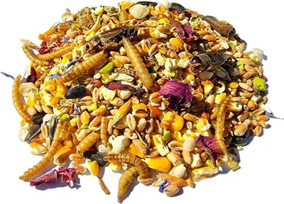 Produktbild von WachtelGlück® InsectGrains