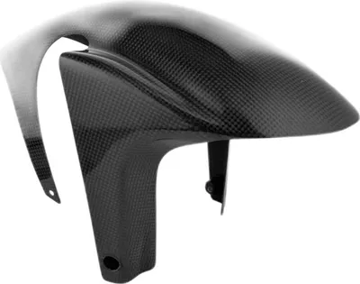 Produktbild von Leichter Carbon-Kotflügel von Lightech für die APRILIA RSV4