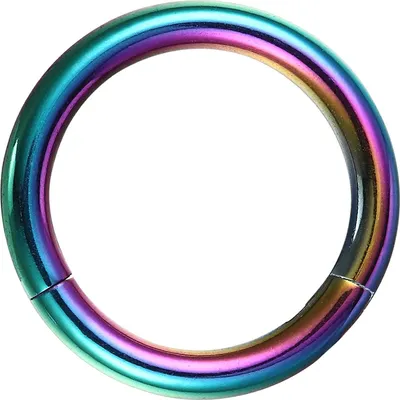 Produktbild von Karisma Rainbow Titan G23 Segment Ring Ohrring Nase 1,2mm - 8mm